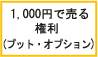 株式のプット・オプション